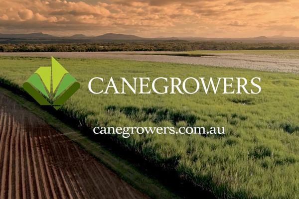 Canegrowers